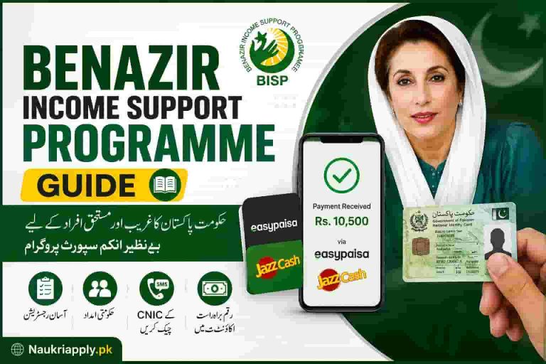 Benazir Income Support Programme Guide